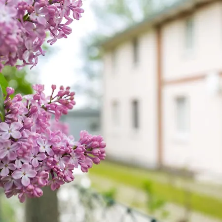Casa de Férias Herthaquelle Lazy 