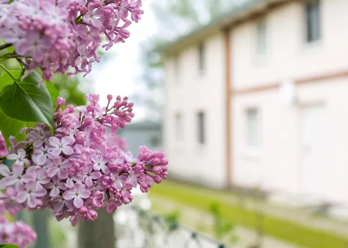 Ferienhaus Herthaquelle Lazy 